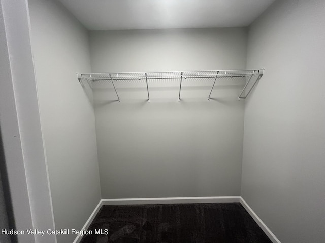 walk in closet with carpet floors