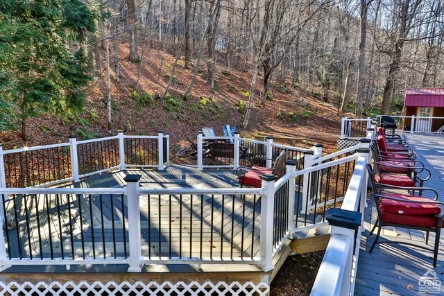 181 Mountain Dr, Hunter, NY 12442 - view of wooden terrace