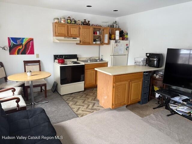 kitchen with sink, light colored carpet, and white appliances