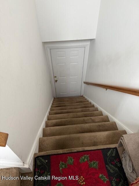 stairway featuring carpet flooring