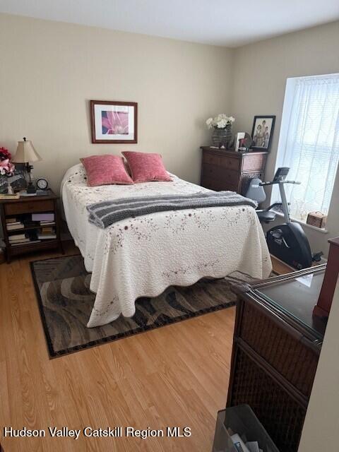 bedroom with hardwood / wood-style floors