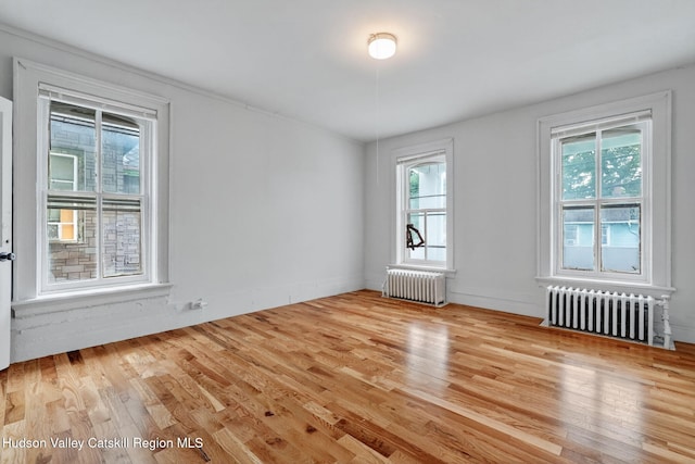 55 Elmendorf St, Kingston, NY 12401 - photo 18