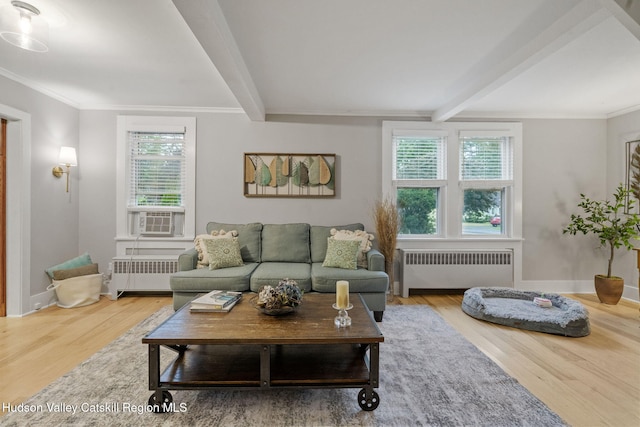 42 William St, Kinderhook, NY 12106 - photo 17