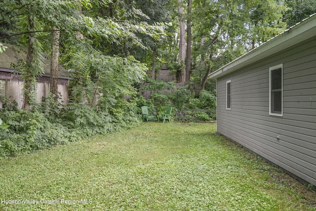 42 William St, Kinderhook, NY 12106 - photo 49