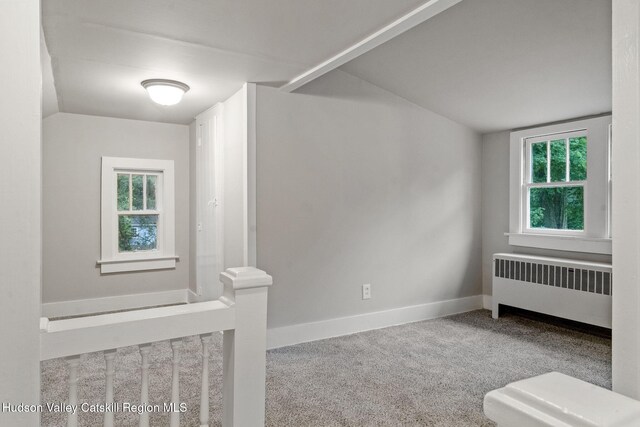 42 William St, Kinderhook, NY 12106 - photo 31