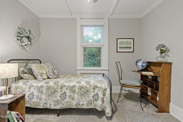 42 William St, Kinderhook, NY 12106 - photo 28