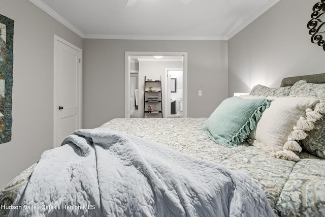 42 William St, Kinderhook, NY 12106 - photo 23