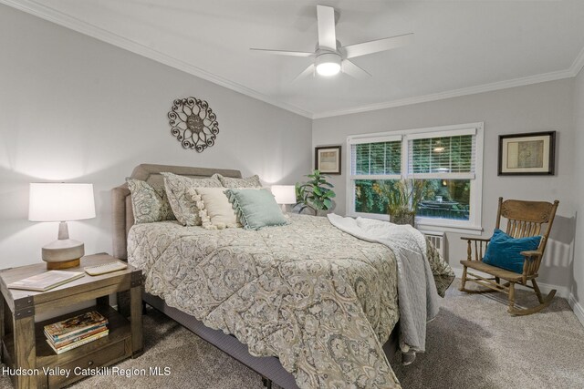 42 William St, Kinderhook, NY 12106 - photo 22