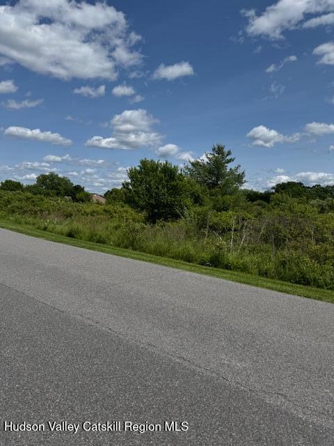 68 Hillside Dr, Athens, NY 12015 - photo 4