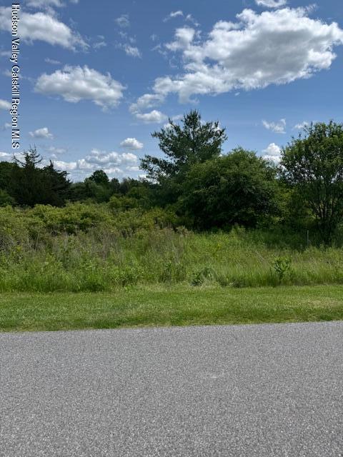 68 Hillside Dr, Athens, NY 12015 - photo 1
