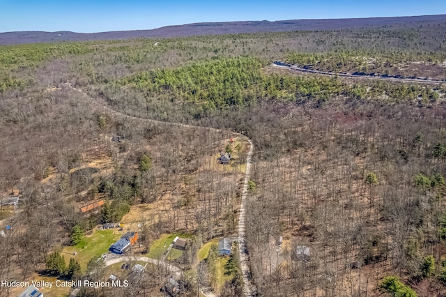 bird's eye view with a mountain view
