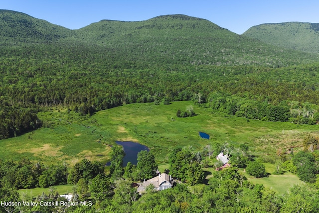 2016 Platte Clove Rd, Elka Park, NY 12427 - photo 56