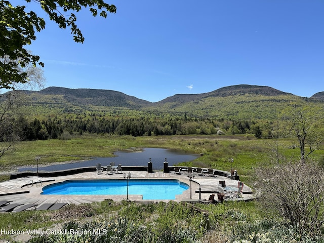 2016 Platte Clove Rd, Elka Park, NY 12427 - photo 46