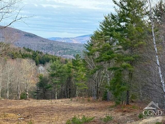 0 Campbell Rd, Ashland, NY 12407 - photo 10