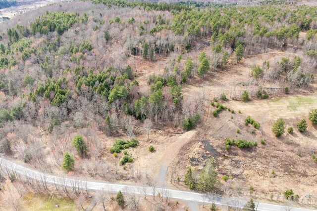 0 Campbell Rd, Ashland, NY 12407 - photo 26
