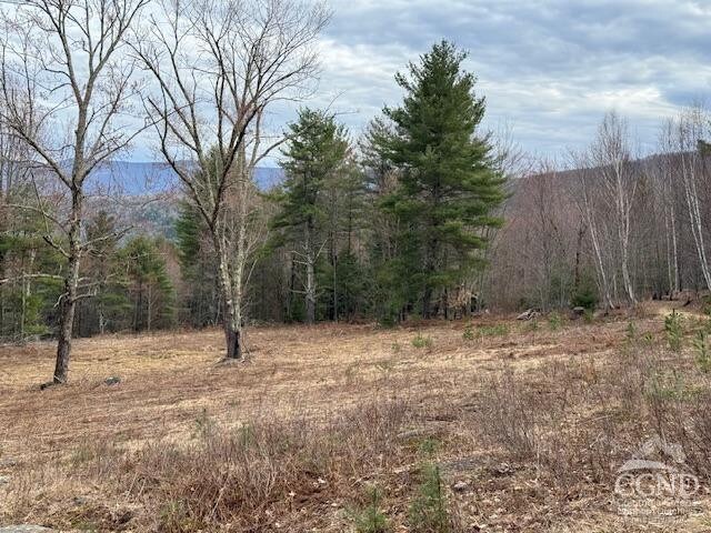 0 Campbell Rd, Ashland, NY 12407 - photo 20
