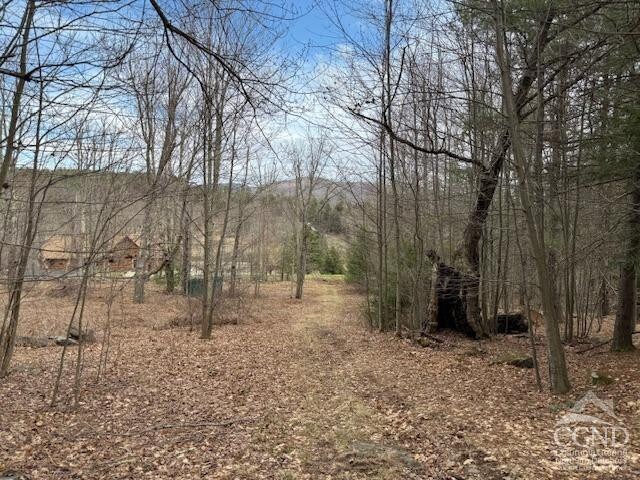 0 Campbell Rd, Ashland, NY 12407 - photo 21