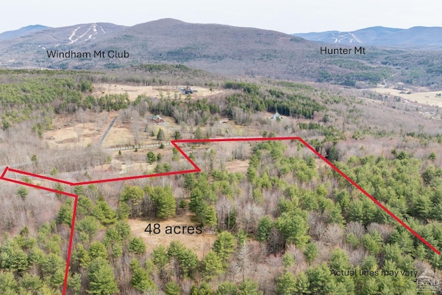 0 Campbell Rd, Ashland, NY 12407 - photo 1