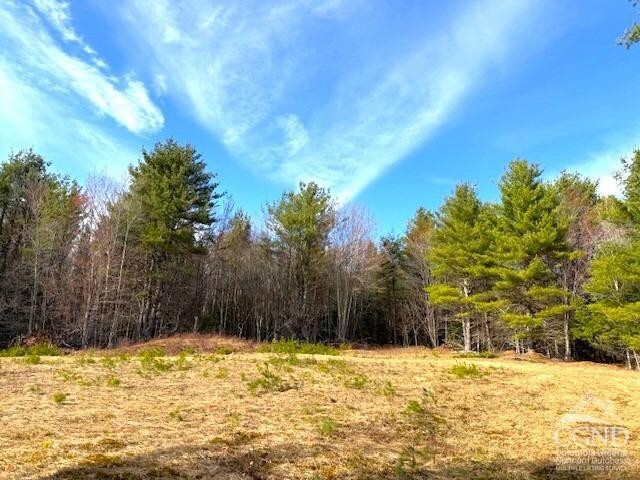 0 Campbell Rd, Ashland, NY 12407 - photo 15