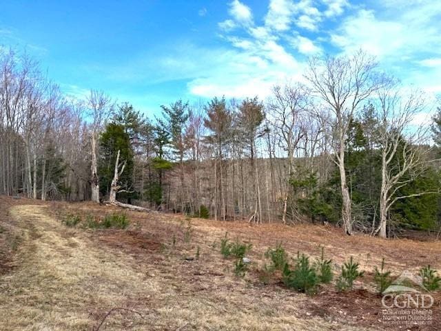 0 Campbell Rd, Ashland, NY 12407 - photo 6