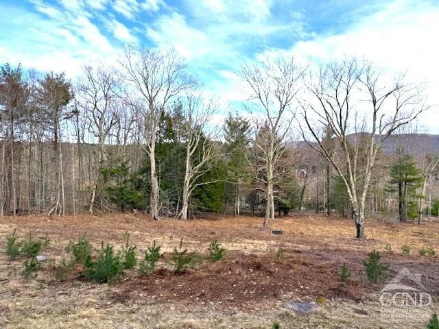 0 Campbell Rd, Ashland, NY 12407 - photo 8
