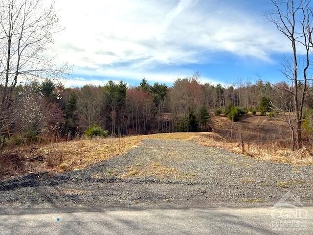 0 Campbell Rd, Ashland, NY 12407 - photo 27