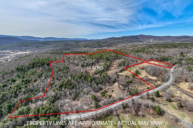0 Campbell Rd, Ashland, NY 12407 - photo 28