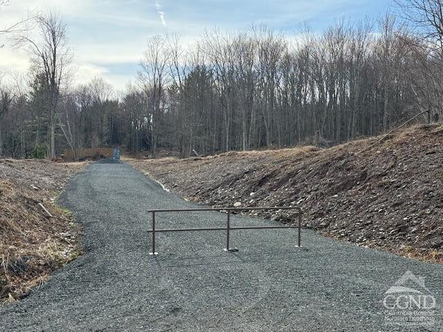 0 Campbell Rd, Ashland, NY 12407 - photo 24