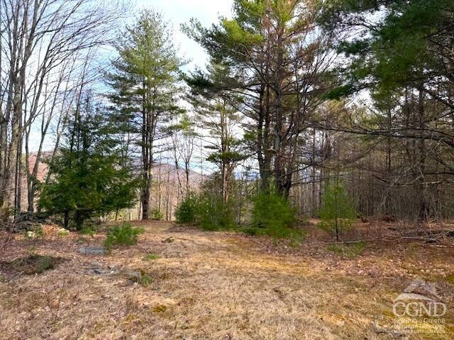 0 Campbell Rd, Ashland, NY 12407 - photo 13