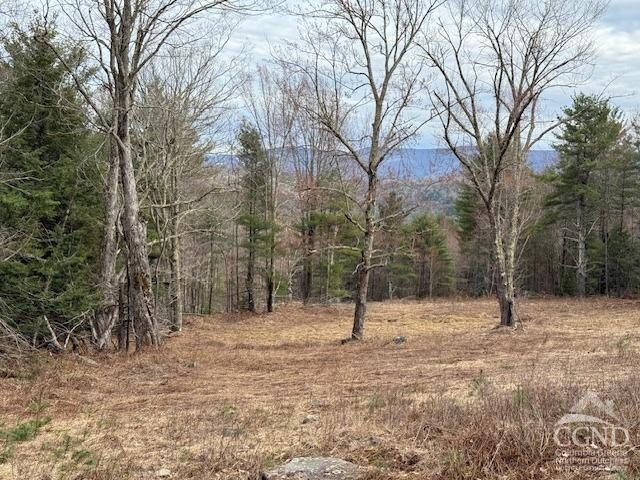 0 Campbell Rd, Ashland, NY 12407 - photo 19