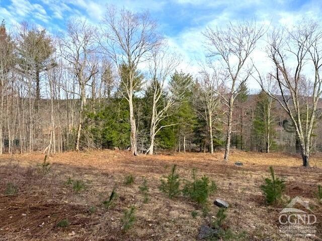 0 Campbell Rd, Ashland, NY 12407 - photo 9