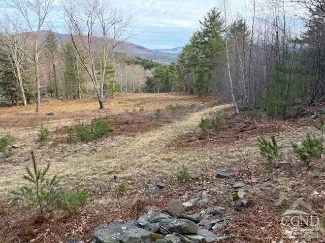 0 Campbell Rd, Ashland, NY 12407 - photo 4