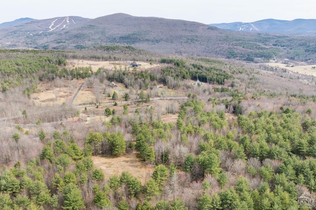 0 Campbell Rd, Ashland, NY 12407 - photo 30