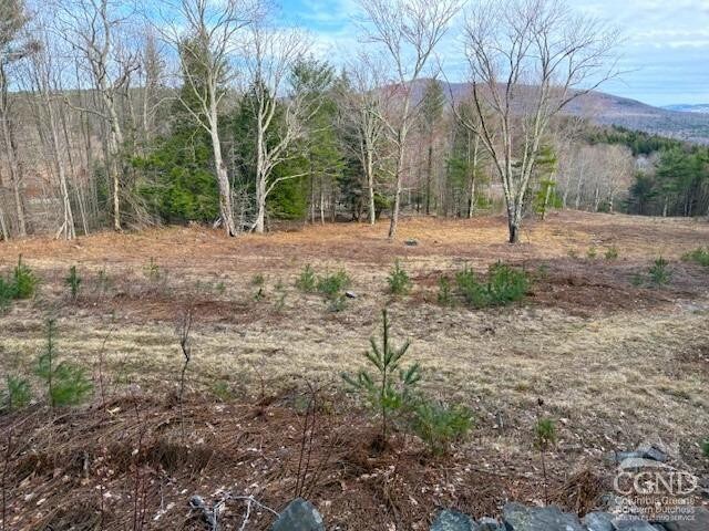 0 Campbell Rd, Ashland, NY 12407 - photo 5