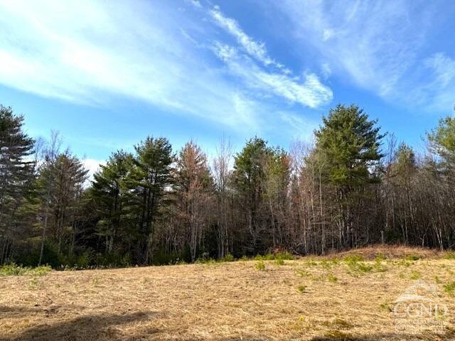 0 Campbell Rd, Ashland, NY 12407 - photo 16