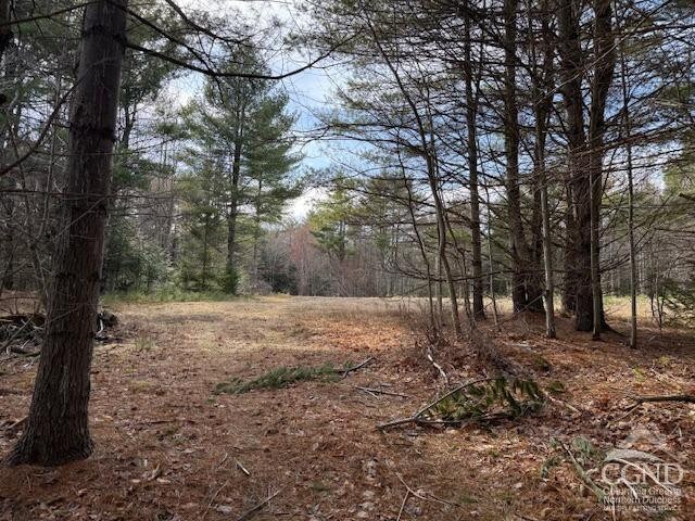0 Campbell Rd, Ashland, NY 12407 - photo 14