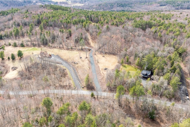 0 Campbell Rd, Ashland, NY 12407 - photo 23