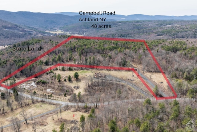 0 Campbell Rd, Ashland, NY 12407 - photo 2