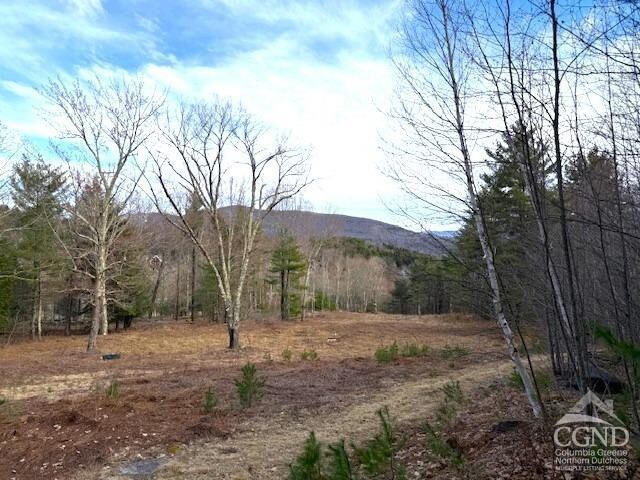 0 Campbell Rd, Ashland, NY 12407 - photo 11