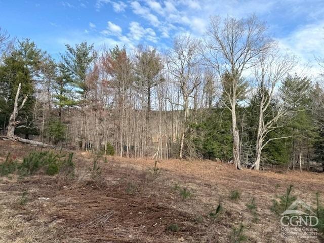 0 Campbell Rd, Ashland, NY 12407 - photo 18