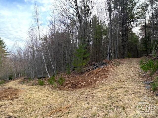 0 Campbell Rd, Ashland, NY 12407 - photo 12