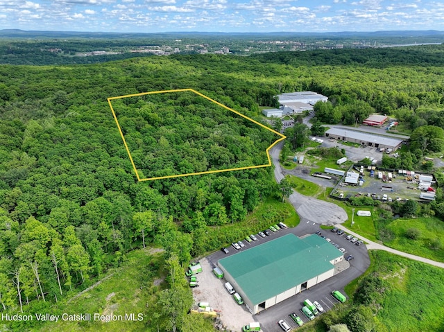 9 Lumen Ln, Highland, NY 12528 - photo 1