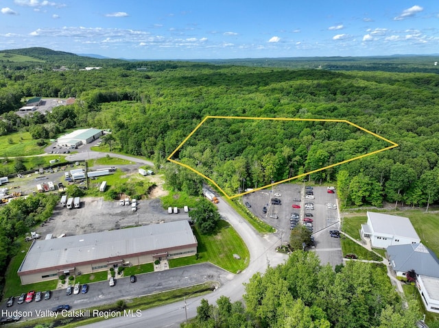 9 Lumen Ln, Highland, NY 12528 - photo 2