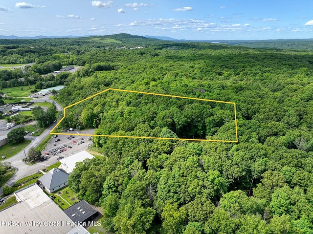 9 Lumen Ln, Highland, NY 12528 - photo 3