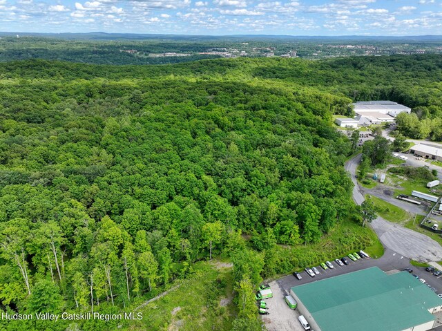 9 Lumen Ln, Highland, NY 12528 - photo 5