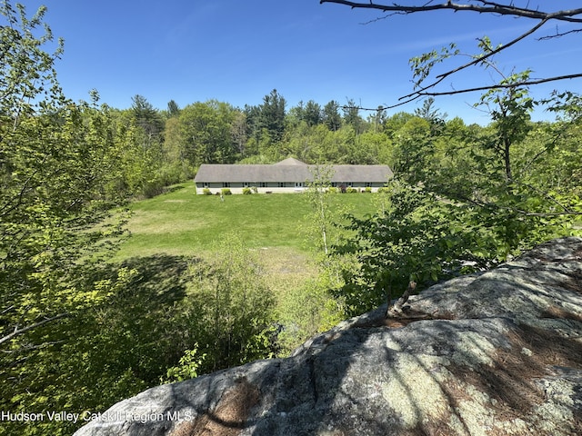 437 Snydertown Rd, Craryville, NY 12521 - view of grassy yard featuring a forest view