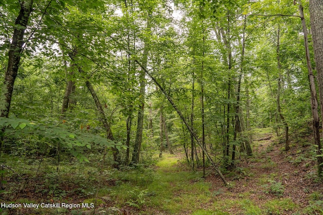 437 Snydertown Rd, Craryville, NY 12521 - view of wooded area