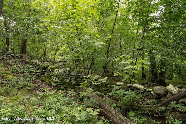 437 Snydertown Rd, Craryville, NY 12521 - view of tree filled area