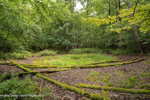 437 Snydertown Rd, Craryville, NY 12521 - view of woods