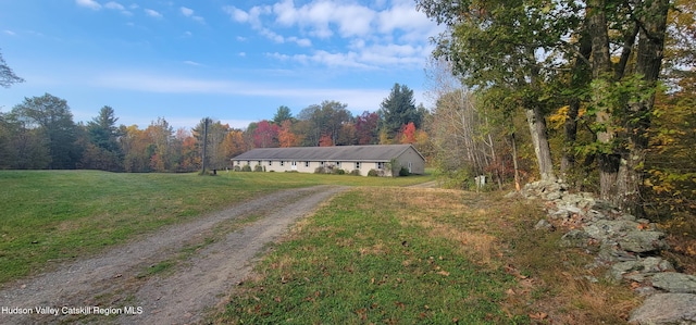 437 Snydertown Rd, Craryville, NY 12521 - view of front of home featuring driveway, a wooded view, and a front yard
